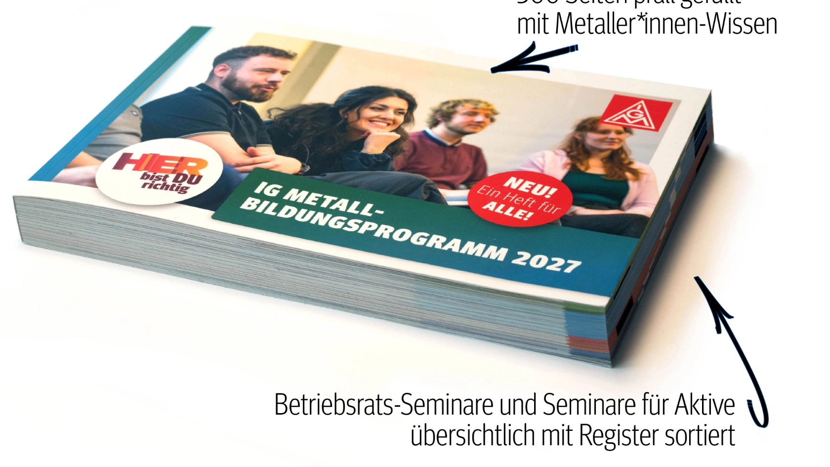 Bildungsprogramm 2027