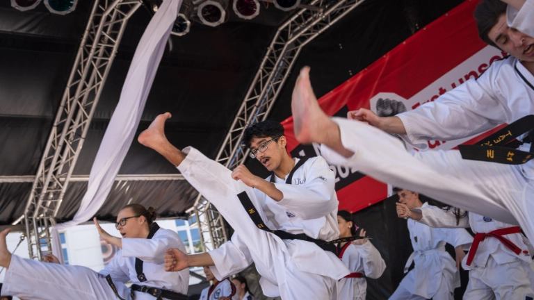 Taekwondo Club Troisdorf e. V. 